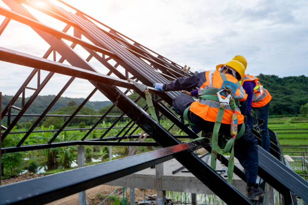 Best Roof Gutter Cleaning  in Fall City, WA